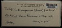 Image Associated With the Occurence